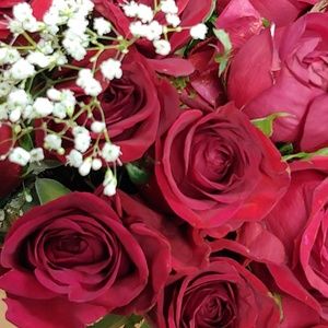 Meet your Posher, Darice